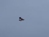 096-tocna-20140101-Janek.jpg