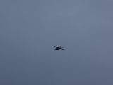098-tocna-20140101-Janek.jpg