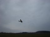 110-tocna-20140101-Jozka.jpg
