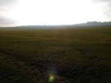 112-tocna-20140105.jpg
