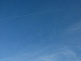 123-tocna-20140111.jpg