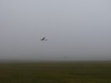 223-tocna-20140118.jpg