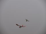 251-tocna-20140118.jpg