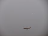 252-tocna-20140118.jpg