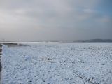 266-tocna-20140125.jpg