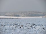 267-tocna-20140125.jpg