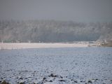 268-tocna-20140125.jpg