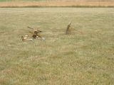 002-tocna-20140702-Jozka.jpg