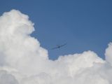 028-tocna-20140726-Janek.jpg