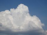 030-tocna-20140726-Janek.jpg