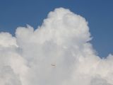031-tocna-20140726-Janek.jpg