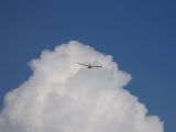 032-tocna-20140726-Janek.jpg