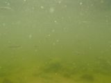 040-slapy-hydroplaneni-20140729-Janek.jpg