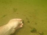 041-slapy-hydroplaneni-20140729-Janek.jpg
