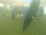 046-slapy-hydroplaneni-20140729-Janek.jpg