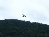 057-slapy-hydroplaneni-20140729-Janek.jpg