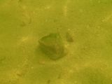 066-slapy-hydroplaneni-20140729-Janek.jpg