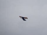 007-tocna-20140804-Janek.jpg