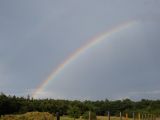 018-tocna-20140810-Janek.jpg