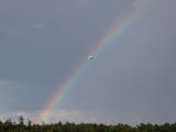 022-tocna-20140810-Janek.jpg