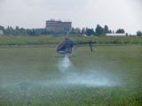060-letnany-20140906-radekc.jpg