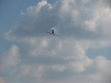 063-letnany-20140906-radekc.jpg