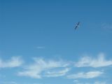 010-tocna-20141019-Jozka.jpg