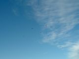 021-tocna-20141019-Jozka.jpg