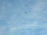 023-tocna-20141019-Jozka.jpg