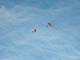 025-tocna-20141019-Jozka.jpg