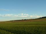029-tocna-20141019-Jozka.jpg