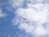 047-tocna-20141021-Janek.jpg