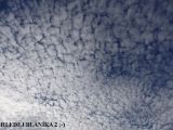 048-tocna-20141021-Janek.jpg