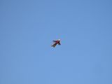 086-tocna-20141028-Janek.jpg
