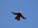 090-tocna-20141028-Janek.jpg