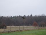 020-tocna-20141207-Janek.jpg