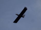 015-tocna-20160207-Janek.jpg