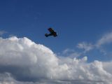 032-tocna-20160821-Janek.jpg