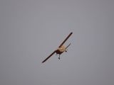014-tocna-01032009-LadaZv.jpg