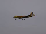 051-tocna-01032009-LadaZv.jpg