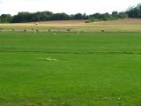 001-tocna-04092010.jpg