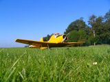 014-tocna-05092010-DavidC.jpg