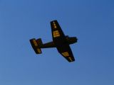 017-tocna-05092010-DavidC.jpg
