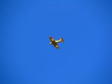 019-tocna-05092010-DavidC.jpg
