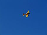 021-tocna-05092010-DavidC.jpg