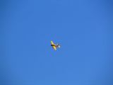 022-tocna-05092010-DavidC.jpg