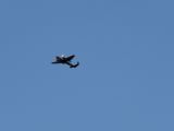 072-tocna-06092010-Janek.jpg