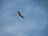 090-tocna-15082010.jpg