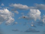 104-tocna-15082010.jpg